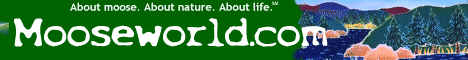 Banner Mooseworld