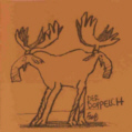 Doppelelch
