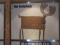 Kampfelch