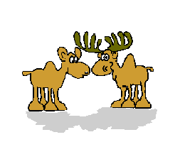 Elchkuss