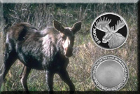 Medaille