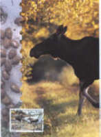 Aland-Postkarte