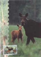 Aland-Postkarte