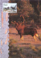 Aland-Postkarte