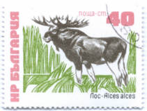 Briefmarke-Bulgarien
