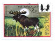 Briefmarke-Polen