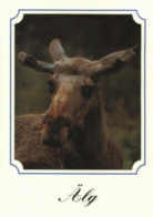 Schweden-Postkarte