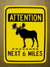 Moose Warning