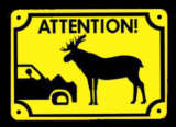 Moose Warning