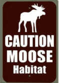 Moose Kanada