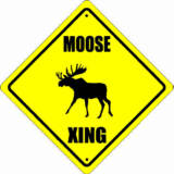 Moose Kanada