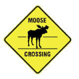 Moose Kanada