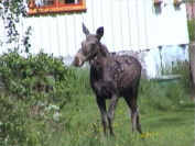 Frau E im Mai 2002