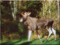 Herr E im Oktober 2006