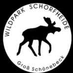 Elche in der Schorfheide