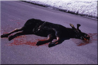 Unfall