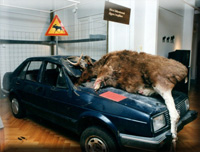 Unfall