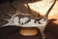 Geweihschnitzerei von B. Merry