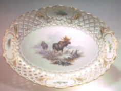 Elch Meissen